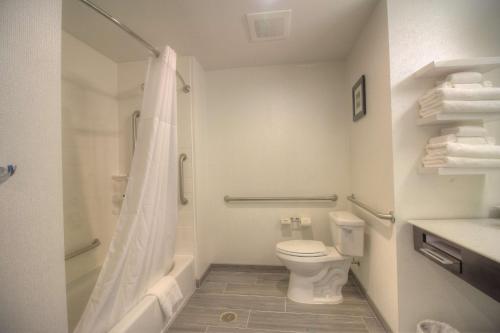 Hampton Inn West Plains - image 6