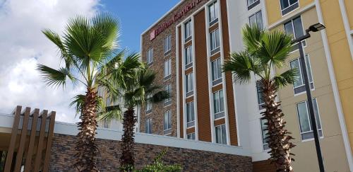 Hilton Garden Inn Tampa - Wesley Chapel