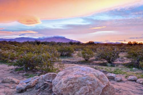 Hampton Inn & Suites Tucson Marana