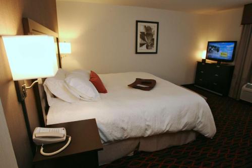 Hampton Inn & Suites Red Deer