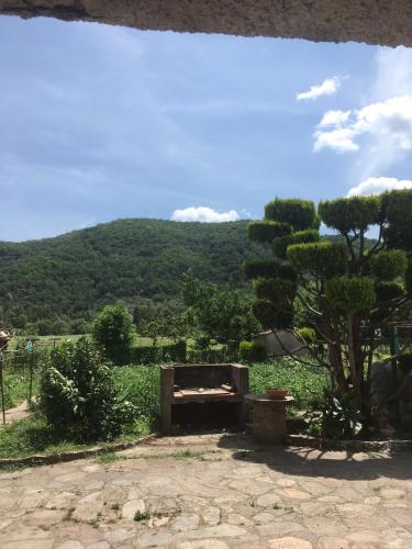 appartement rez de chaussée avec terrasse