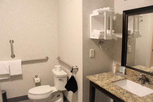 Hampton Inn Indianapolis NW/Zionsville - image 4