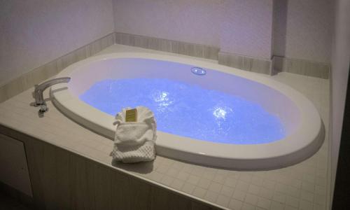Double Tree Niagara Falls Room Type - Superior King Room with River View