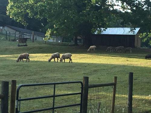 Cottage. Three bedrooms on Farm [Sleeps 6]