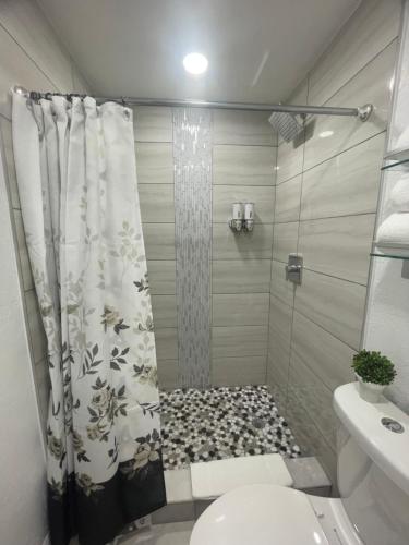 tranquilo y fantastico apartamento cerca de playas y areopuerto in Tampa, USA