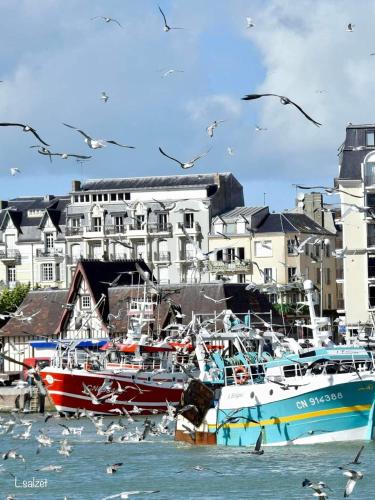 Studio de charme à Trouville sur mer.