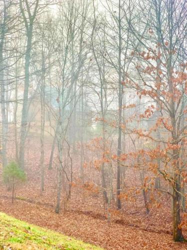 Shenandoah Wilderness Traveler