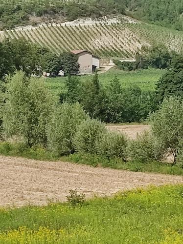  Pafati house in Gavi in Gavi