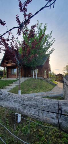 . Casa Rosa