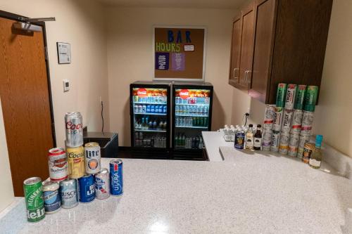 Cobblestone Hotel & Suites-Sheldon - main image