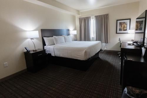 Cobblestone Hotel & Suites-Sheldon - image 14