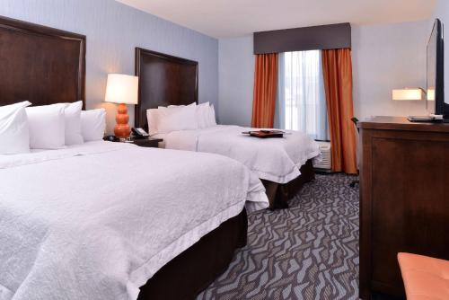 Hampton Inn Potsdam - image 2