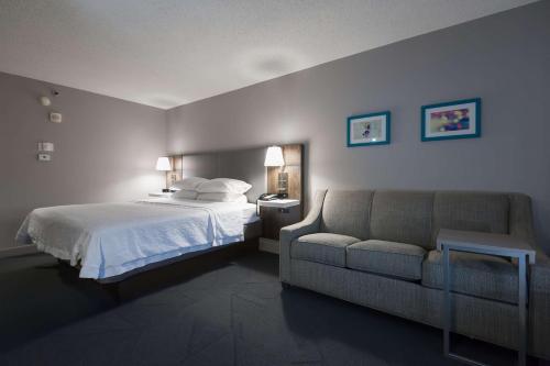 1 king bed, 1 sofa bed