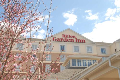 Photo - Hilton Garden Inn Charlotte/Concord