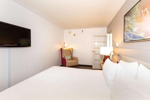 Hilton Garden Inn Daytona Beach Airport - image 11