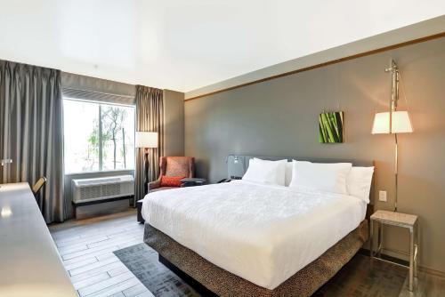 Hilton Garden Inn By Hilton Phoenix/Tempe Asu Area Az - image 9