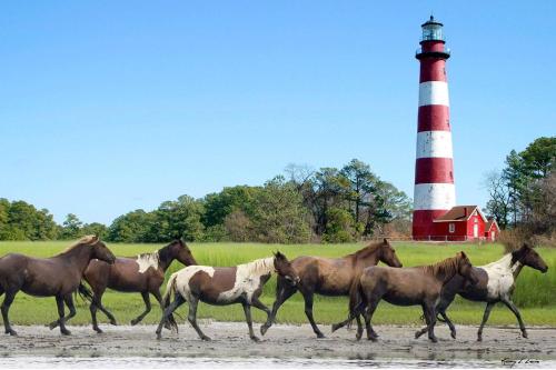 Hampton Inn & Suites Chincoteague-Waterfront, Va