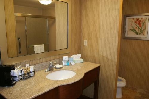 Hampton Inn & Suites Exmore - Eastern Shore - image 11