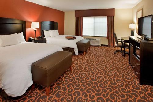 Hampton Inn & Suites Dickinson ND - image 2