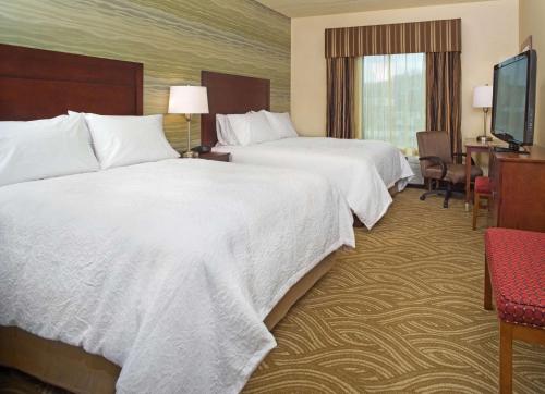 Hampton Inn By Hilton & Suites Pittsburgh/Waterfront-West Homestead