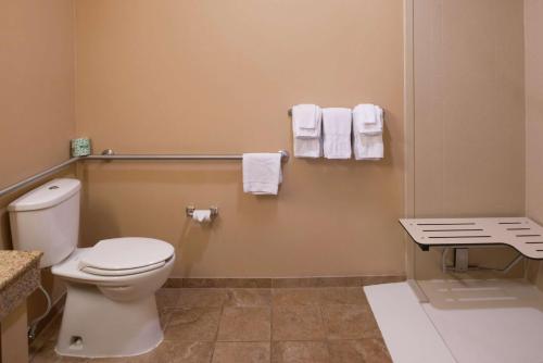 莱福希尔顿恒庭旅馆&套房酒店 莱福希尔顿恒庭旅馆&套房酒店