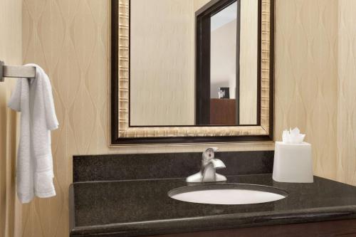 Hampton Inn Sulphur Springs - image 9