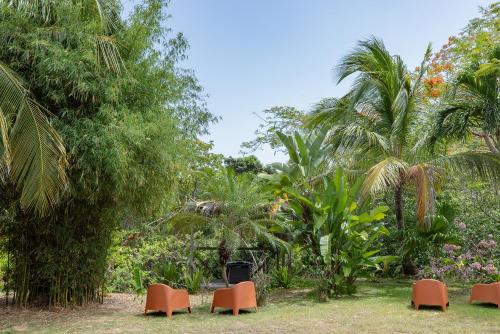 حديقة, Vieques Tropical Guest House in Vieques