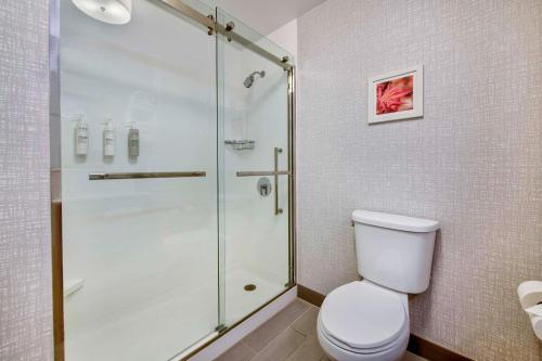 Hampton Inn Cortland in Cortland, USA
