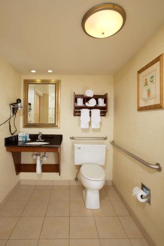 Hampton Inn Alexandria - image 11
