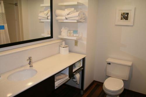 Hampton Inn Birch Run - image 10