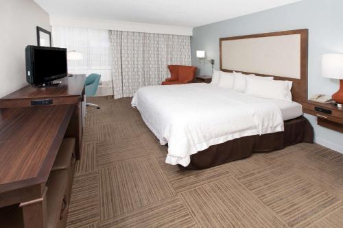 Hampton Inn Birch Run - image 8