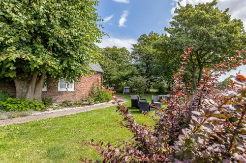 Garden, Appartement EBB in Grossmorsum