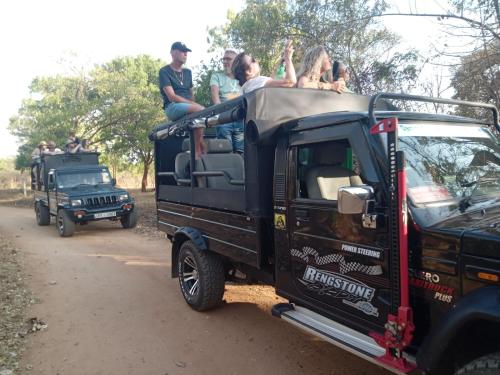 Priyanna Guest, Forest view