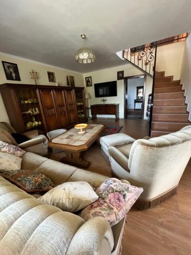 Общ салон/телевизионна зона, Casa din Deal-Cincu in Şoarş