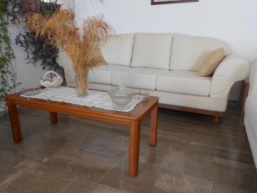 共用Lounge/電視區, Zorbas Hotel in 畢達哥雷奧