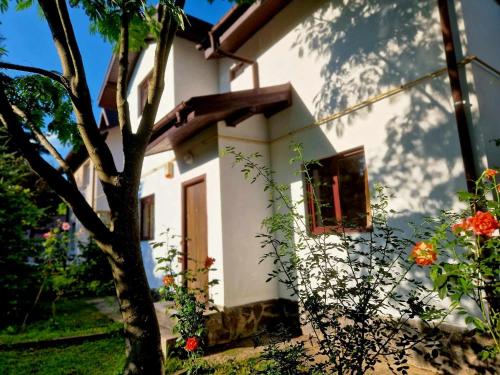 Casa Vlazilor Casa Vlazilor