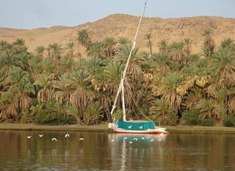 Imaginative sailing boat