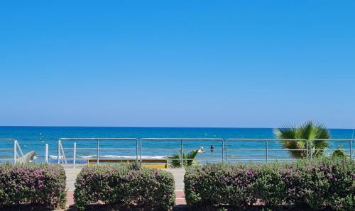 The Ciao Stelio Deluxe Hotel (Adults Only) - image 13