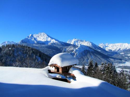 1 Bergpanorama und atemberaubende alpine Almlandschaft -Nichtraucherdomizil in Mitterbach