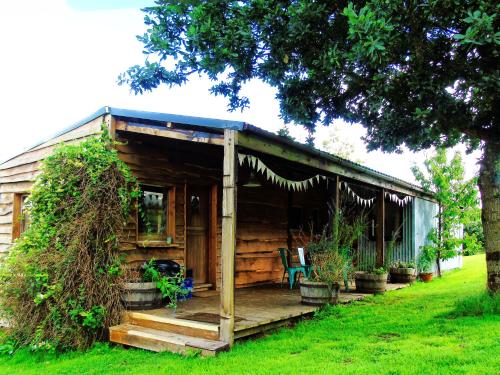 Ceridwen Glamping, double decker bus and Yurts