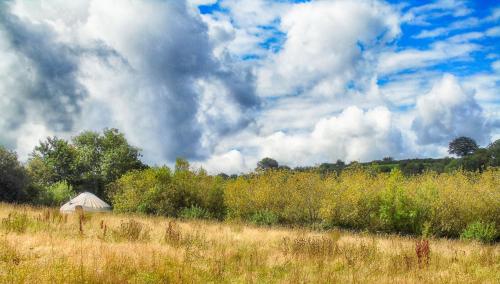 Ceridwen Glamping, double decker bus and Yurts