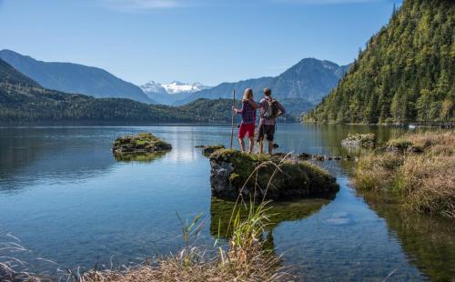 Appartement Mühlkogel mit Indoorpool und Sauna - Apartment - Bad Goisern