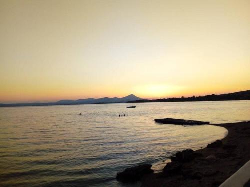 Seaside villa in Eretria