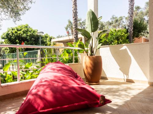 La Laguna Rooftop Apartment 50 m from the beach