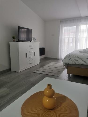 Studio apartmani Banja Koviljaca