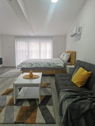 Studio apartmani Banja Koviljaca