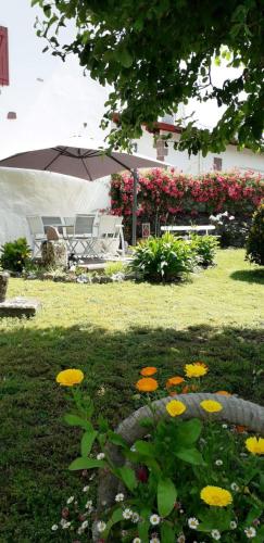 Garden, Maison Bidegain Berria in Ispoure