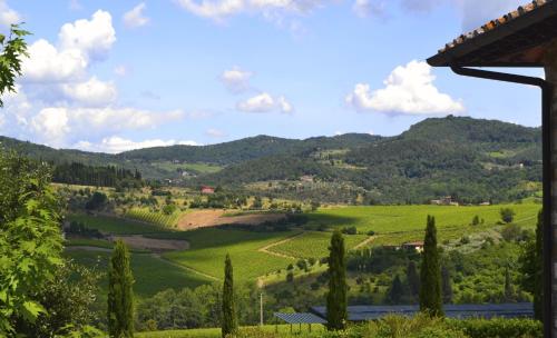 Viticcio, Greve in Chianti (fotografie 5)