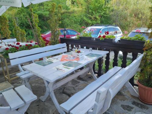 Family Hotel Bela - image 14