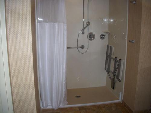 King Suite with Roll-In Shower - Mobility and Hearing Access/Non-Smoking